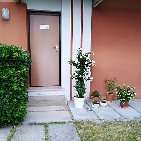 Casa Pachia 살로